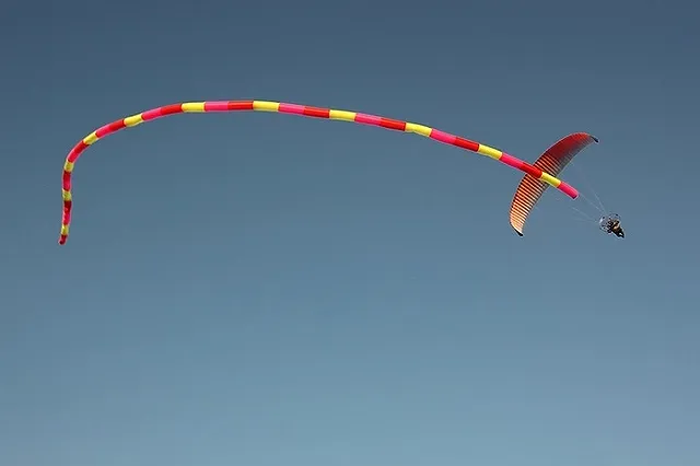 Парапланерист рухнул на головы посетителей кафе в Мурманской области