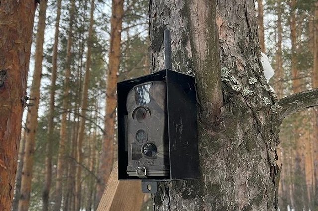 Любителей выбрасывать мусор из машин предупредили о фотоловушках