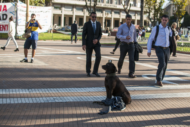 В Южной Корее запретили продавать штативы для селфи