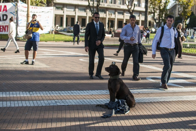 В Южной Корее запретили продавать штативы для селфи