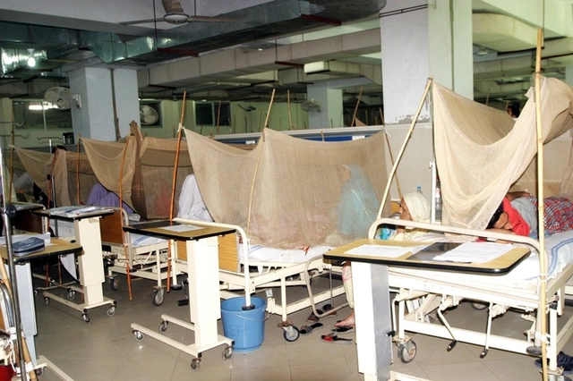 Лихорадку Денге подтвердили у четырех свердловчан, вернувшихся из-за границы