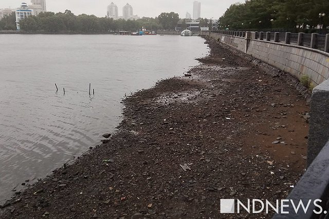 В Городском пруду Екатеринбурга осушили берега