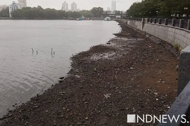 В Городском пруду Екатеринбурга осушили берега
