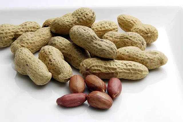 Медики: Арахис снижает плохой холестерин и риск атеросклероза