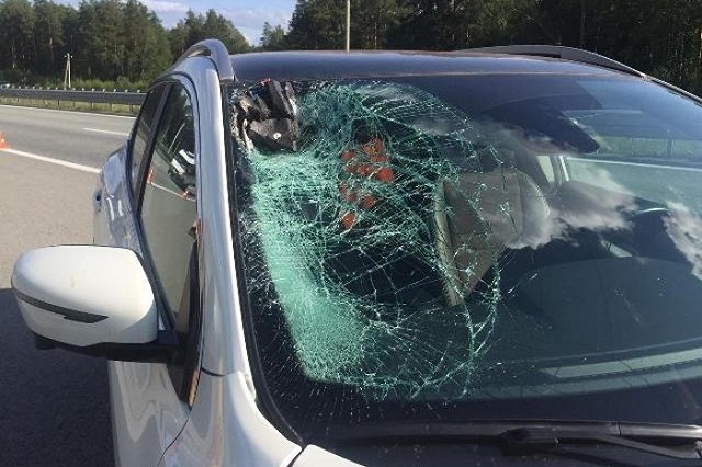 В свердловском УГИБДД назвали самое частое нарушение ПДД со стороны велосипедистов