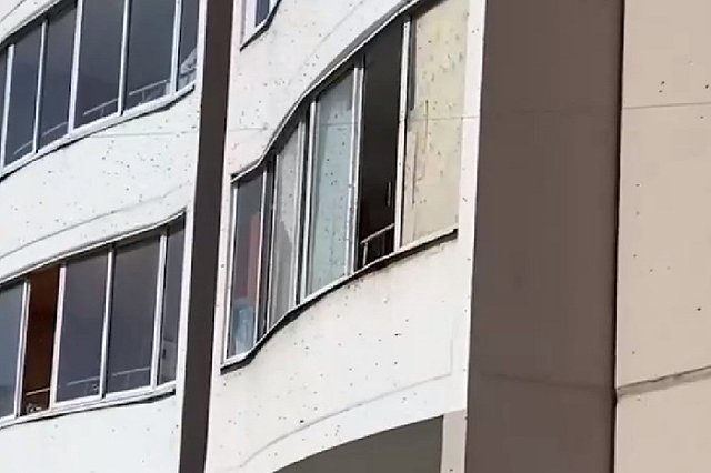 Екатеринбуржец превратил многоэтажный дом в улей