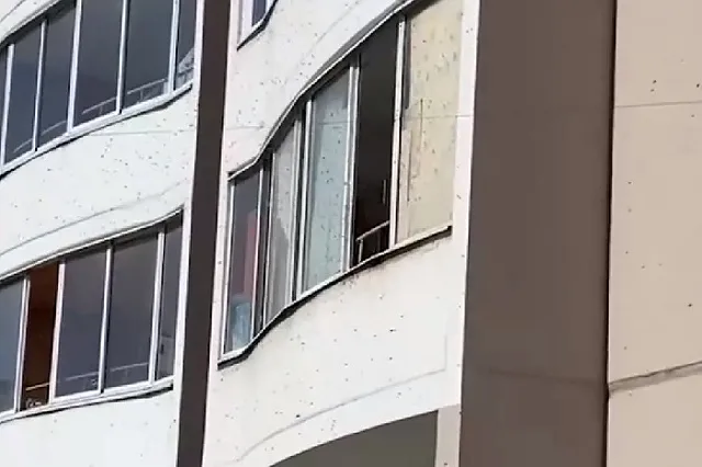 Екатеринбуржец превратил многоэтажный дом в улей