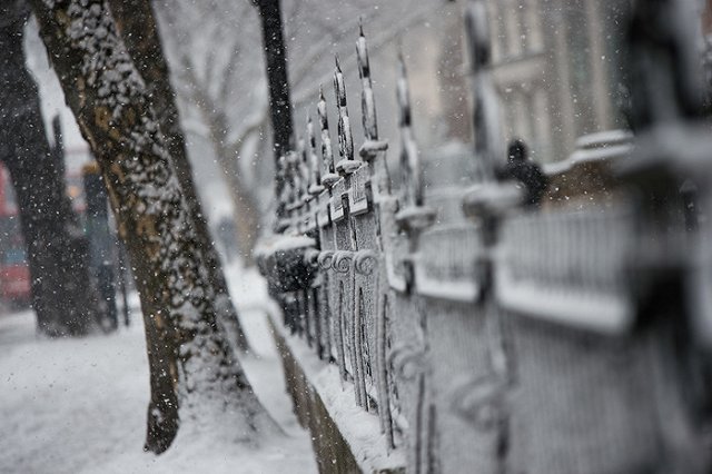 Китаянка застряла в заборе и умерла