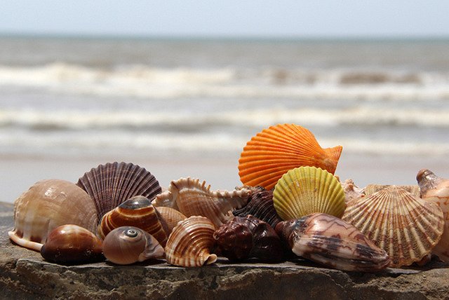 Количество вылетов из Екатеринбурга на зимний отдых сократится на 30%