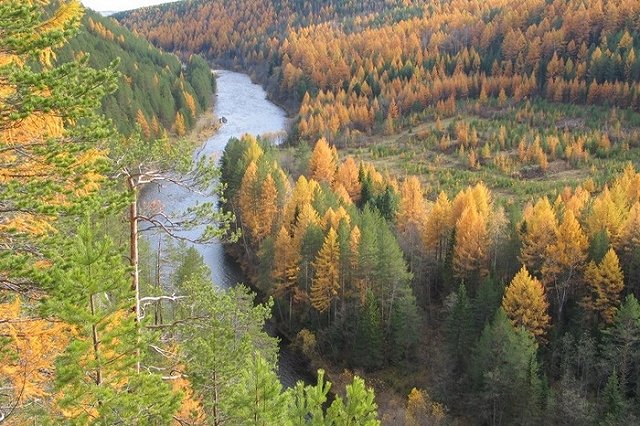 Пять человек, плывших на моторной лодке, пропали в Ивдельском районе