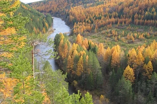 Пять человек, плывших на моторной лодке, пропали в Ивдельском районе