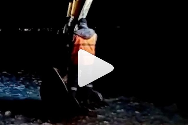 Строители на Шарташе спасли тонувшую собаку