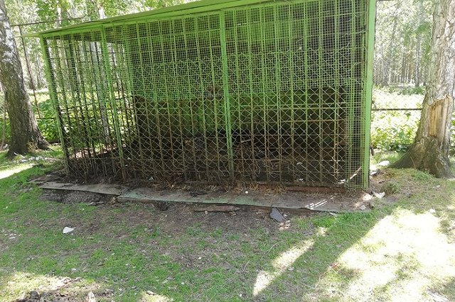 Прокуратура Сысерти проверит «Бархатные рога», где в плачевных условиях живут верблюд и медведь