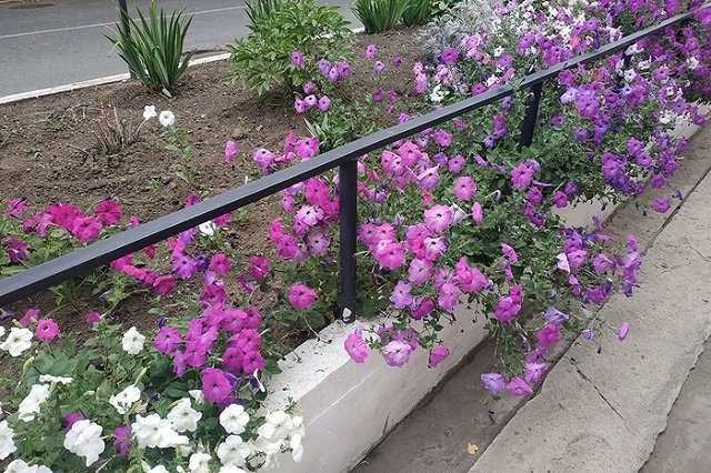 «Где мой квартальный?». С каким вопросом можно обратиться к инспектору