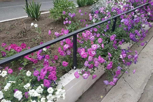 «Где мой квартальный?». С каким вопросом можно обратиться к инспектору