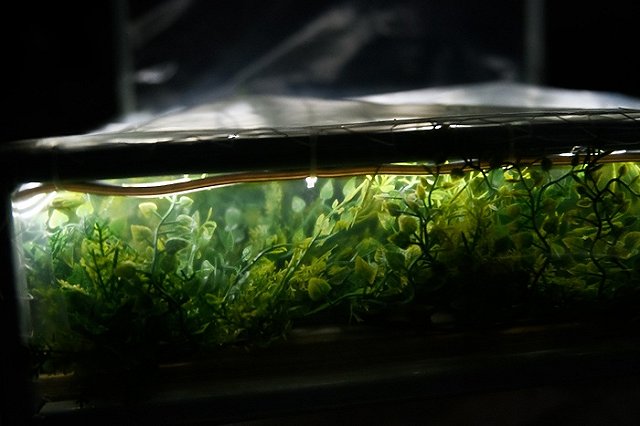 Фестиваль «НЕ ТЕМНО» проходит в Екатеринбурге (ФОТО)