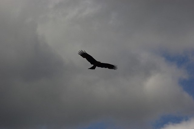 Почти 150 человек участвуют в поисках туристов на севере Свердловской области