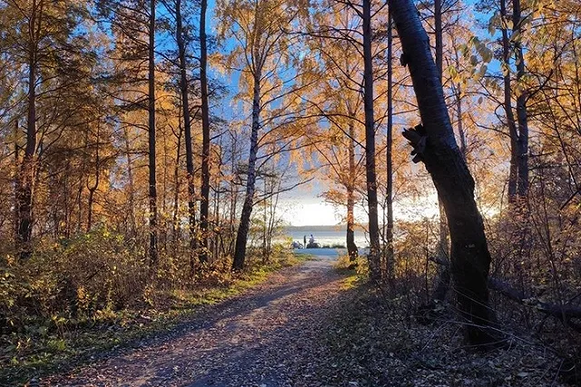 Ведущий екатеринбургский застройщик свозил отходы со строек к реликтовому озеру