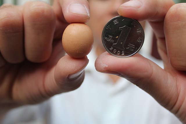 В Екатеринбурге школьника высадили из автобуса из-за 20 центов