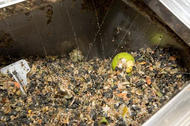 В Екатеринбурге зажгут газовый факел на метане из переработанных фекалий