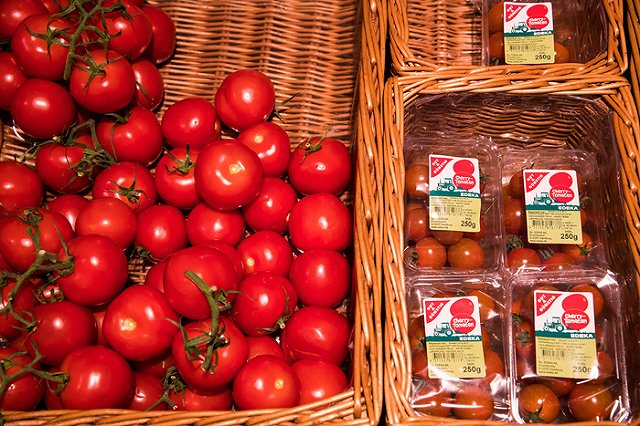 «УГМК-Агро» запустило первую очередь тепличного комбината за 5,3 млрд руб