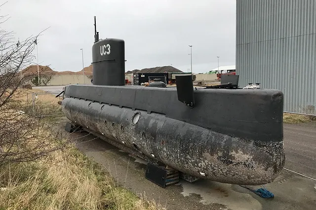 В Дании вынесли приговор изобретателю, расчленившему шведскую журналистку