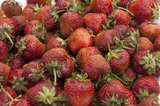 Грудинин проиграл Жириновскому 100 килограмм клубники из-за чемпионата мира