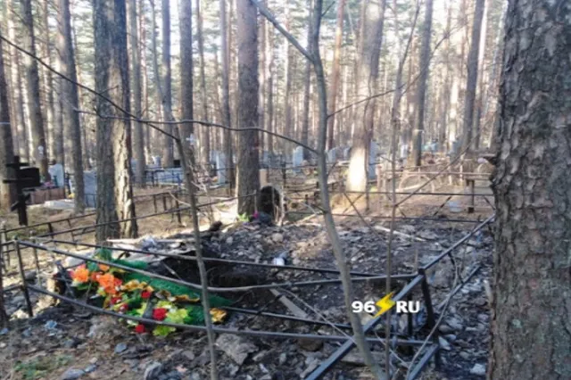 В Нижнем Тагиле медведь разрыл свежую могилу и обглодал труп