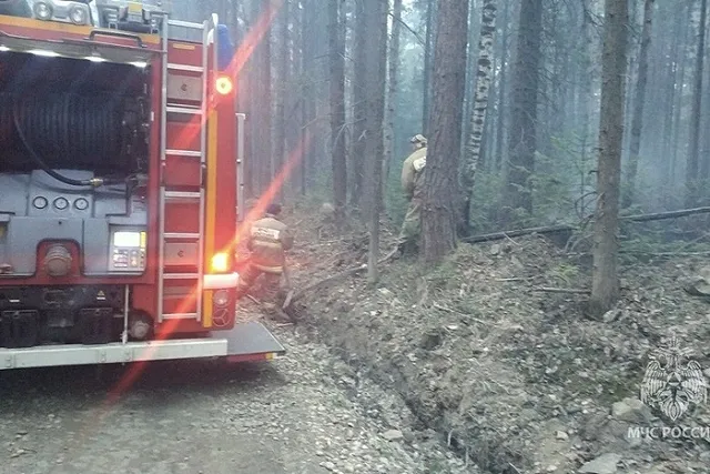 В Екатеринбурге волонтер заявил о поимке подростка, устроившего пожар в лесу
