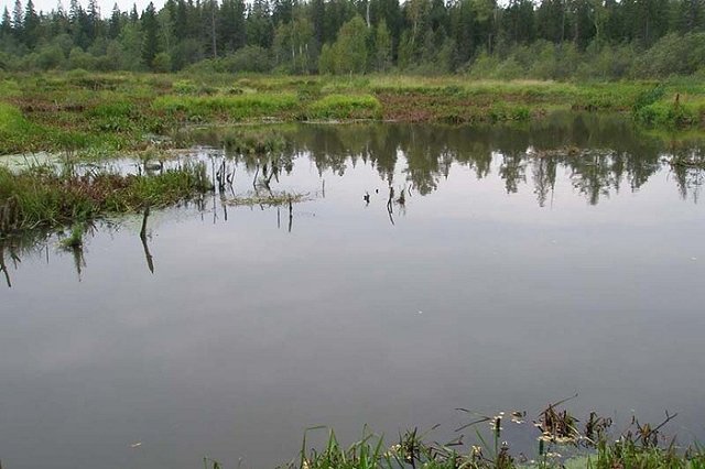 В Нижней Туре пропал приезжий рыбак