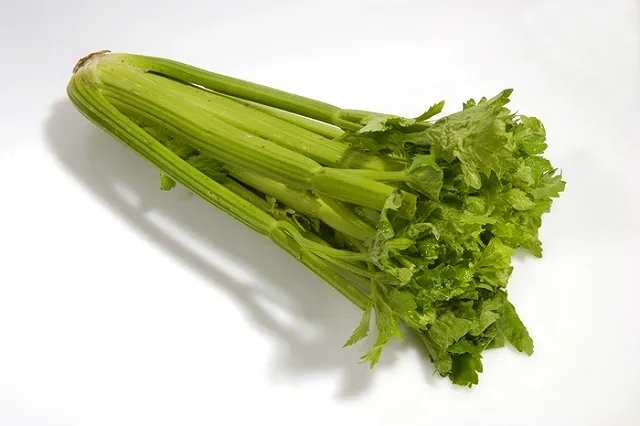 Говорят ученые: продукты с отрицательной калорийностью все-таки существуют