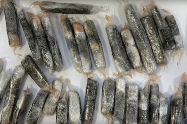 Пенсионерка из Екатеринбурга пыталась провезти наркотики их в Тюмень, спрятав их в рыбе