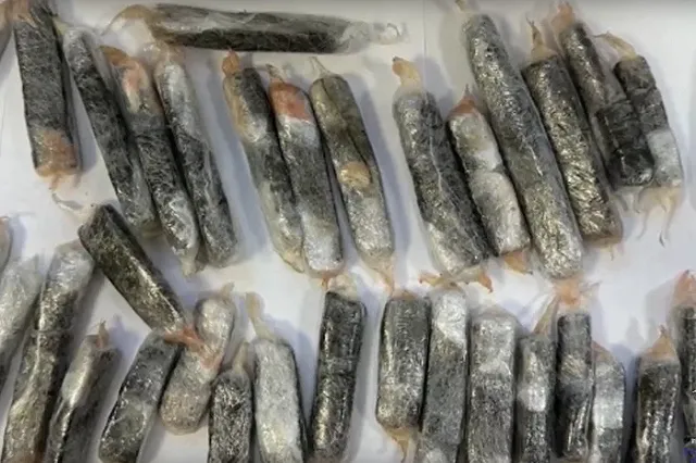 Пенсионерка из Екатеринбурга пыталась провезти наркотики их в Тюмень, спрятав их в рыбе