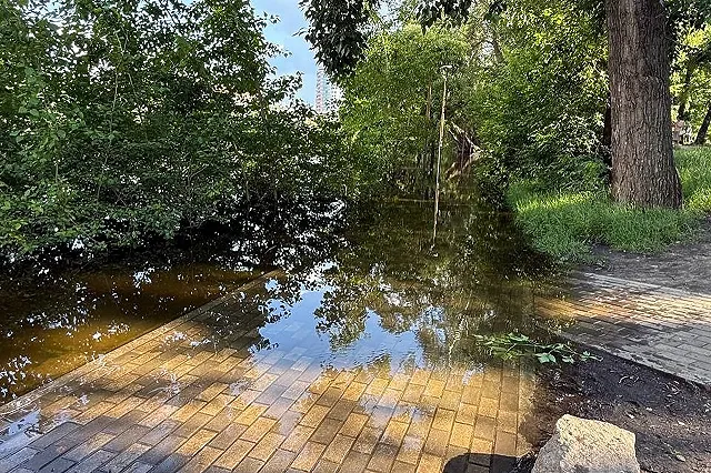 Вода подбирается к Дендропарку: река Исеть в центре Екатеринбурга снова вышла из берегов — фото
