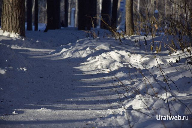 Из-за морозов в Екатеринбурге закрыли Центральный парк