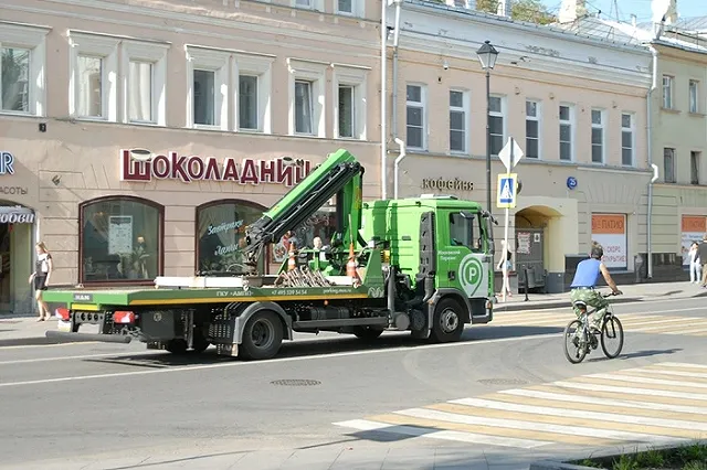 Челябинка в подгузниках 5 часов обороняла кроссовер от приставов