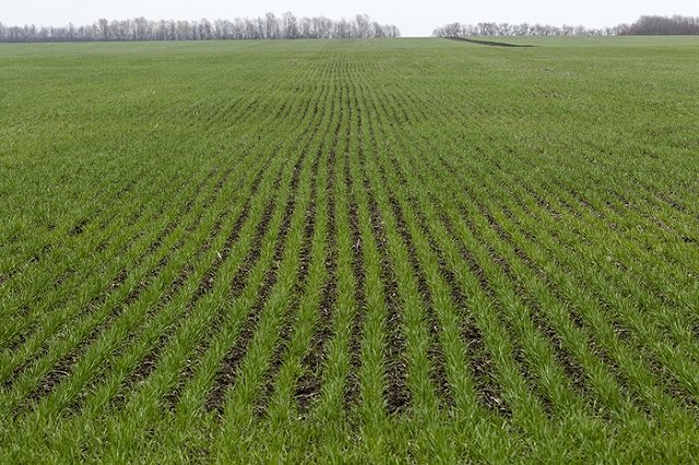 Посевная-2018 для свердловских аграриев началась крайне неудачно