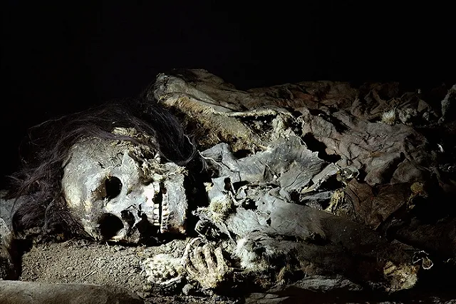 В штате Вашингтон теперь можно пускать человеческие останки на удобрение