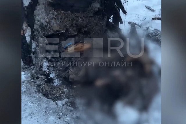 В Екатеринбурге играющие на улице дети нашли человеческий скелет