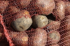 Олег Хабибуллин начнет выращивать овощи