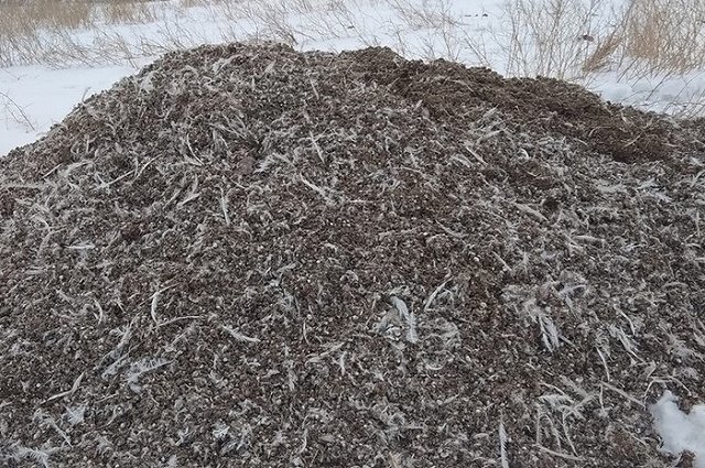 Свердловчане пожаловались на несанкционированную свалку куриного помета