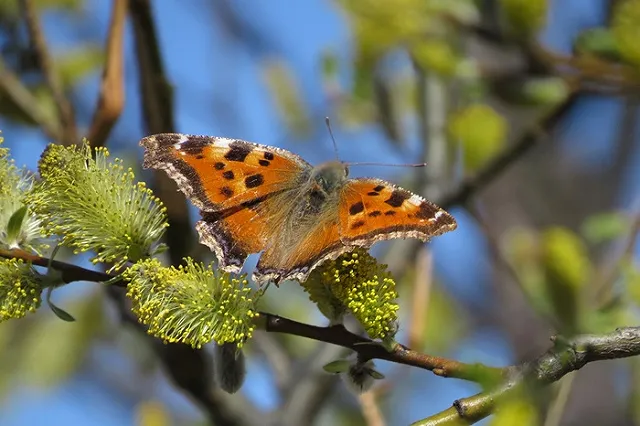 Еще чуть-чуть, и почти лето: синоптики рассказали, какая погода ждет Екатеринбург