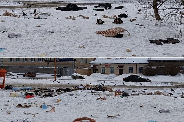 На Сортировке обнаружили свалку из останков животных