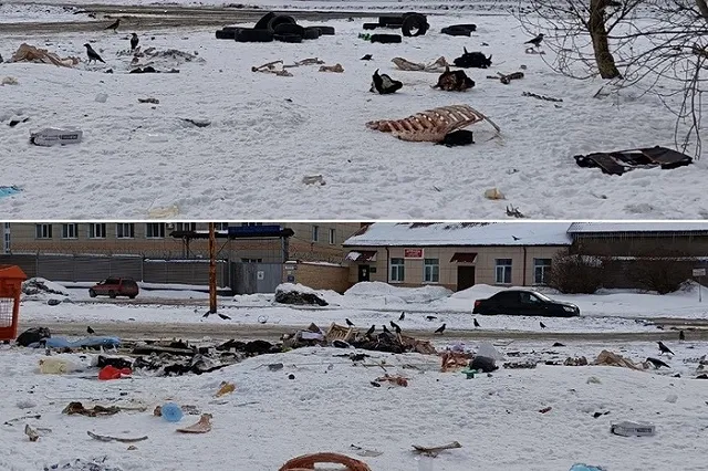 На Сортировке обнаружили свалку из останков животных