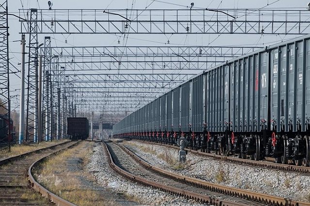 Справлявшего нужду на рельсы мужчину убила летящая корова