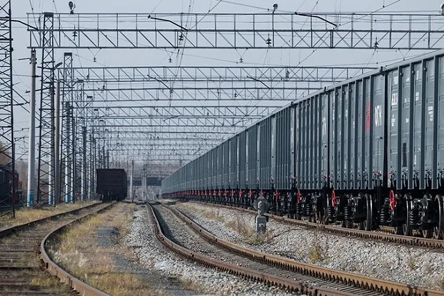 Справлявшего нужду на рельсы мужчину убила летящая корова