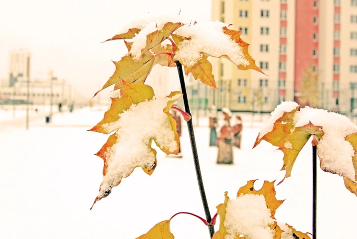 «На холоде люди лучше сохраняются». Юмор белоярских чиновников