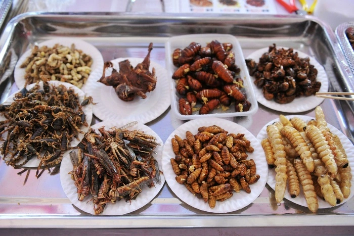 Учёные: сверчков есть можно и нужно, это полезно для кишечника