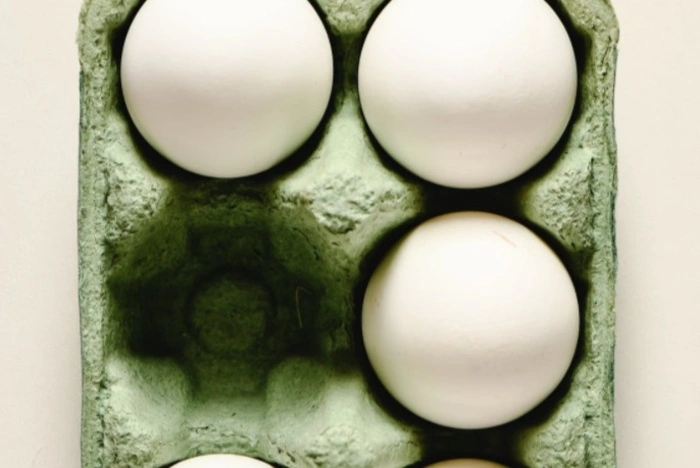 «Колоссальные нарушения». Куйвашев прокомментировал закрытие Среднеуральской птицефабрики