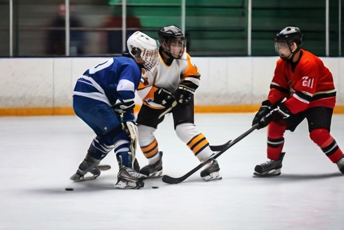 На Авито кто-то выложил билеты на плей-офф «рядом с ложей губернатора», которых «нет в продаже»